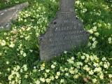 image of grave number 538411